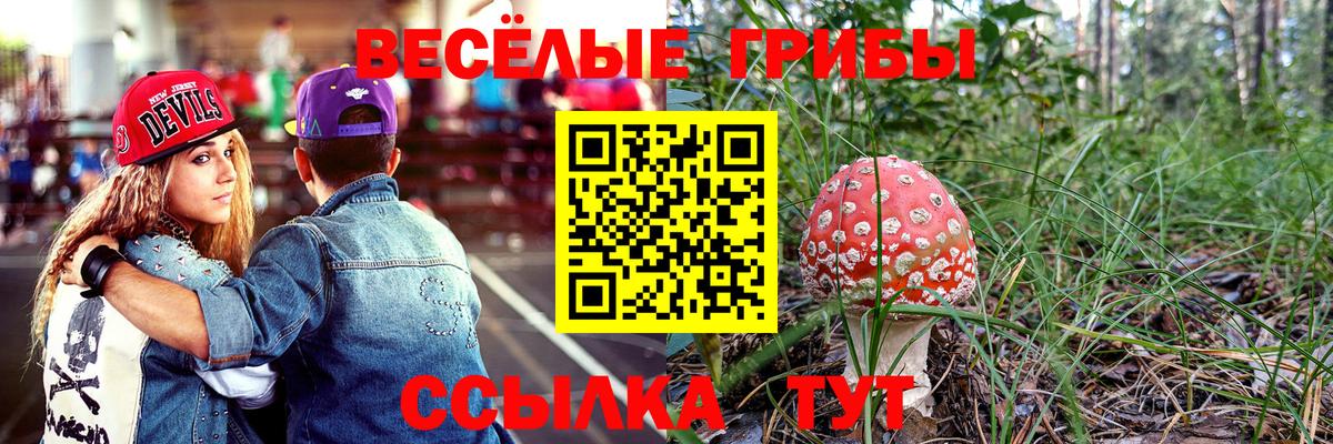 Псилоцибиновые грибы прущие грибы Минеральные Воды
